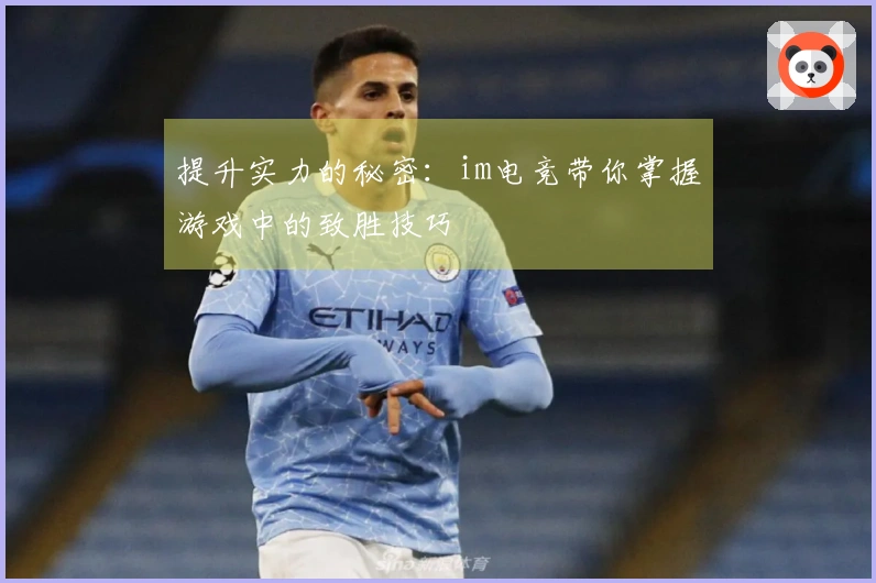 提升实力的秘密：im电竞带你掌握游戏中的致胜技巧