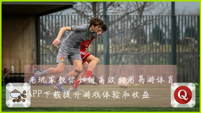 老玩家教你如何高效利用易游体育APP下载提升游戏体验和收益
