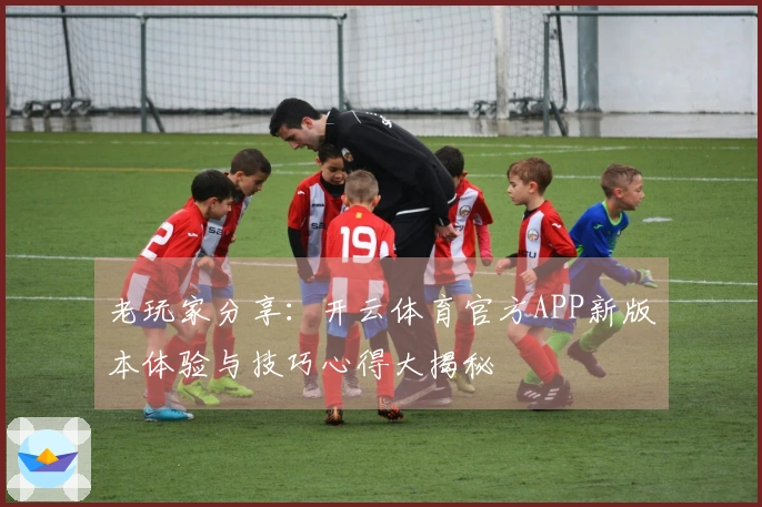 老玩家分享：开云体育官方APP新版本体验与技巧心得大揭秘